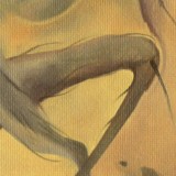 Detail from Ekphrastic Sonata: To A Fly Trapped In Amber by Mark Sheeky