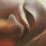 Detail from Ekphrastic Sonata: To A Fly Trapped In Amber by Mark Sheeky