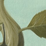 Detail from Arrow Stabbed Vine by Mark Sheeky