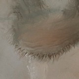 Detail from I Was A War Baby by Mark Sheeky