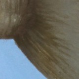 Detail from Masochistic Gaia Toying With Humanity by Mark Sheeky