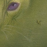 Detail from Cat Lost In The Grass by Mark Sheeky