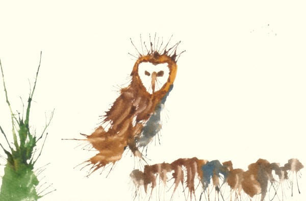 I Am Owl by Mark Sheeky
