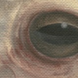 Detail from The Resurrection Sonata: Improvisation On A Theme Of Toad by Mark Sheeky
