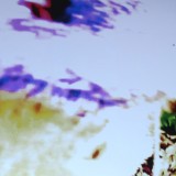 Detail from The Anatomy of Emotions by Mark Sheeky