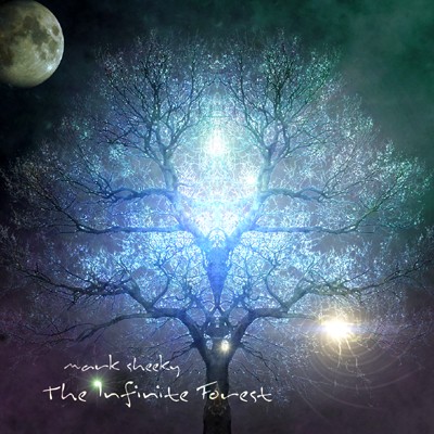 The Infinite Forest (2010 Version)