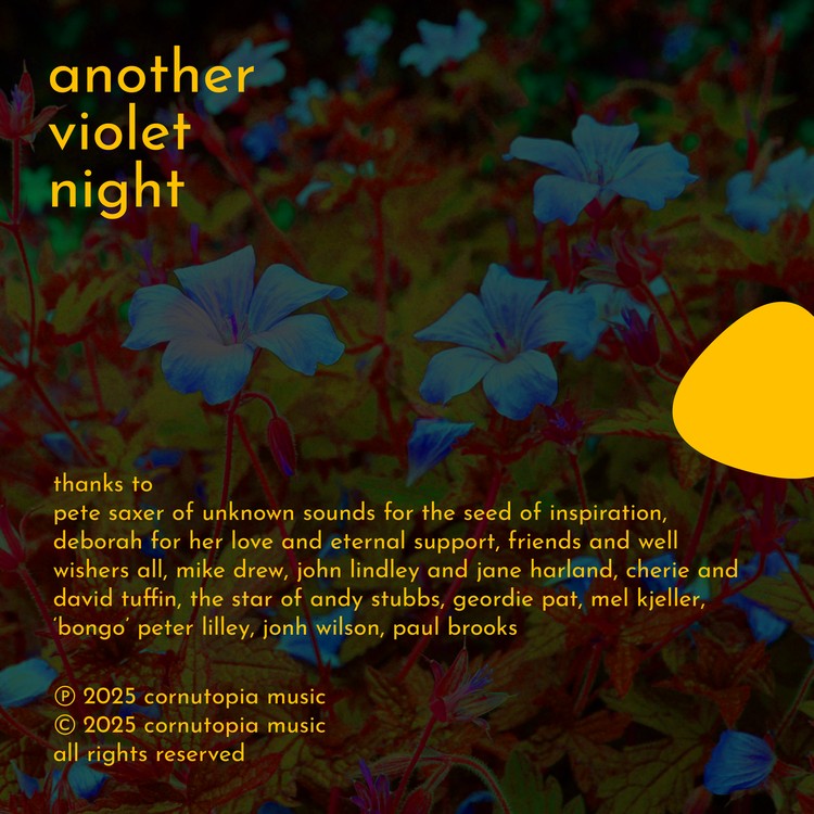 Detail from Another Violet Night